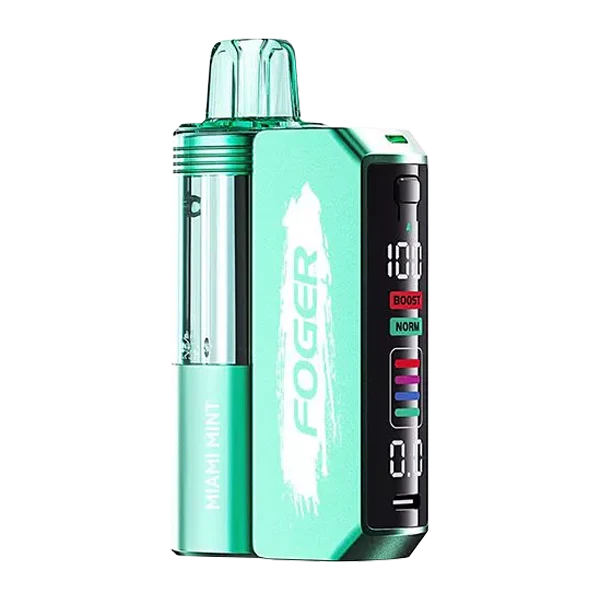 Blueberry watermelon Foger Switch Pro 30K vape kit with disposable vape device, ideal for flavorful vaping sessions.